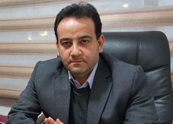 ارز تجاری