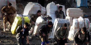 ضربه مهلک قانون کولبری و ملوانی به تولید