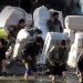 ممنوعیت واردات برخی لوازم خانگی از طریق رویههای ملوانی و کولهبری